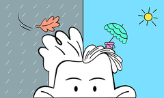 Pelo de Verano