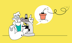 Male Androgenetic Alopecia